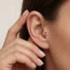 Golden-Fortune-tragus2